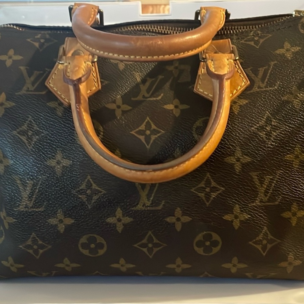 Louis Vuitton Monogram Speedy 25